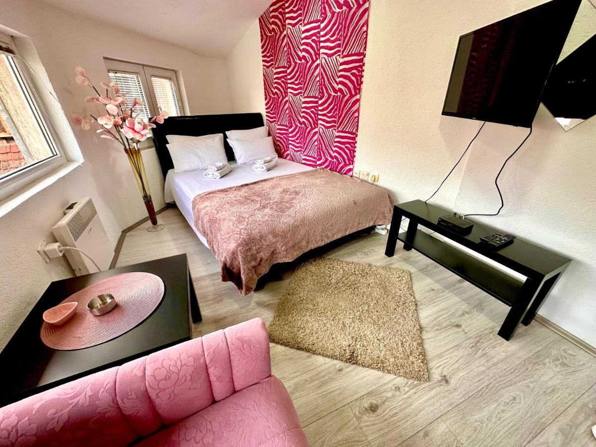 Apartmani Aleksandra U Centru Grada Kragujevac Bagian luar foto