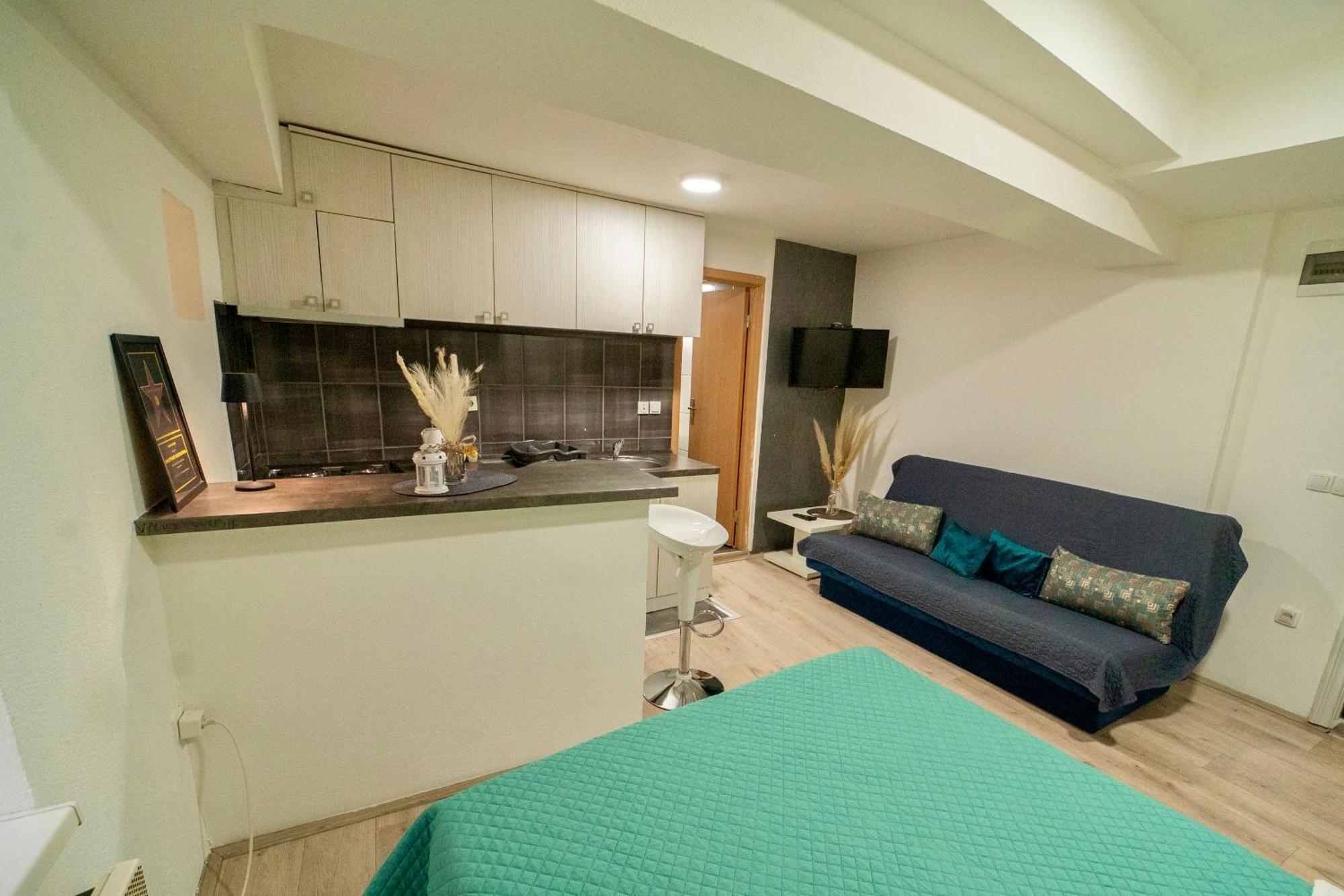 Apartmani Aleksandra U Centru Grada Kragujevac Bagian luar foto