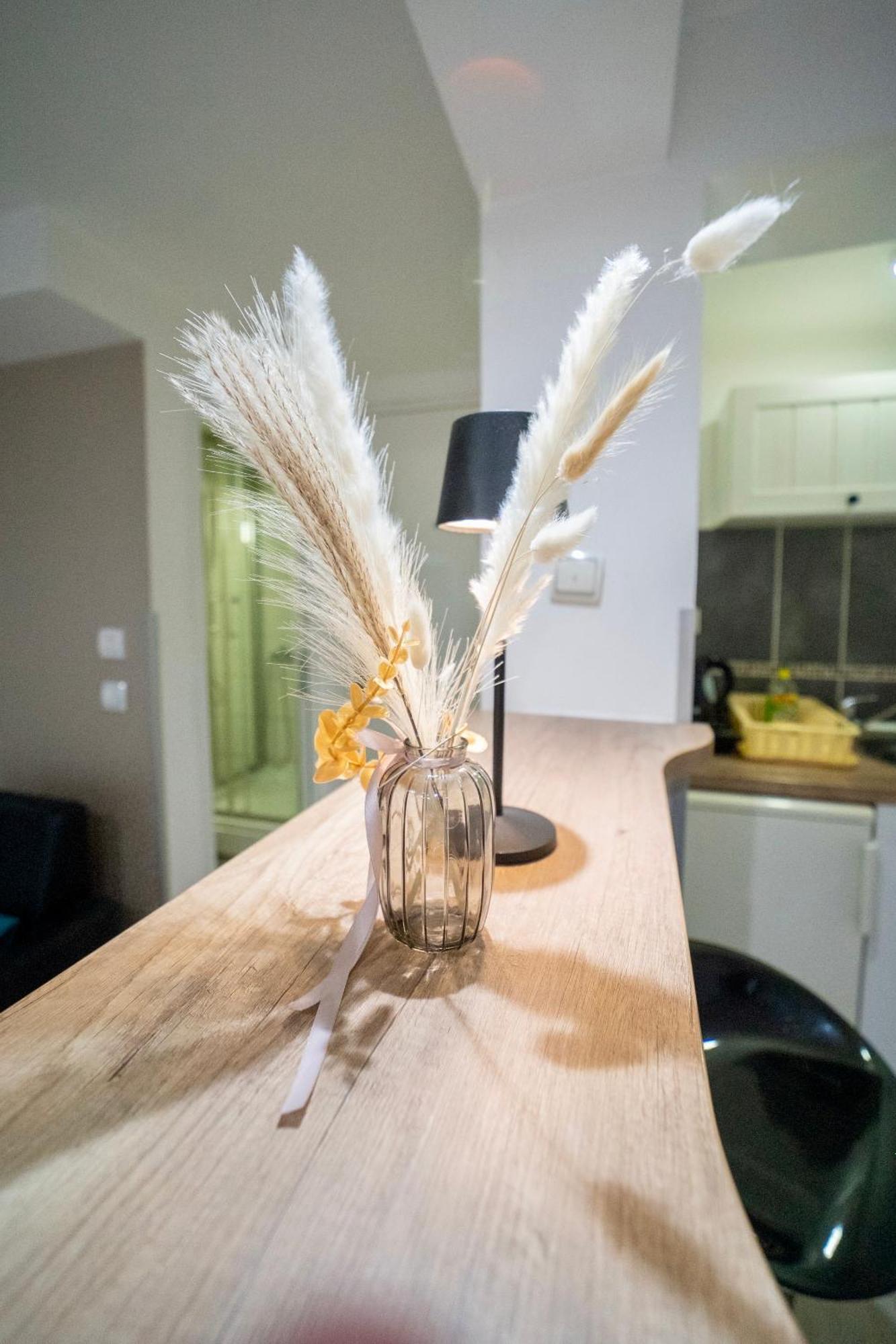 Apartmani Aleksandra U Centru Grada Kragujevac Bagian luar foto